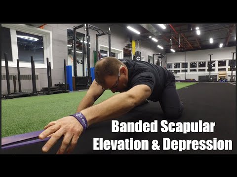Resisted scapular elevation and depression