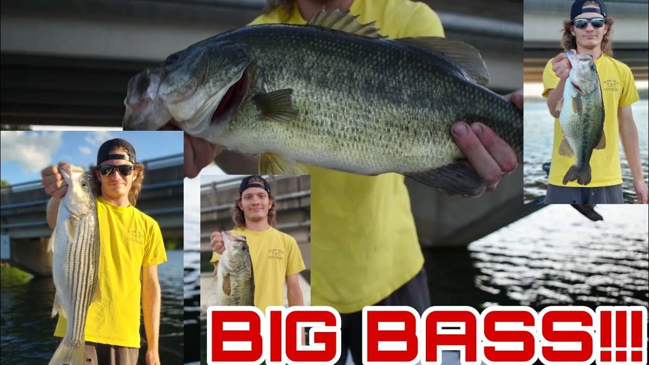 Big Bass On Lake Marburg!