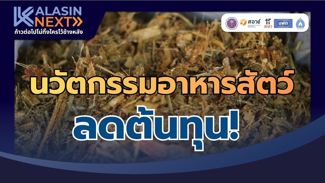 นวัตกรรมอาหารสัตว์ลดต้นทุน