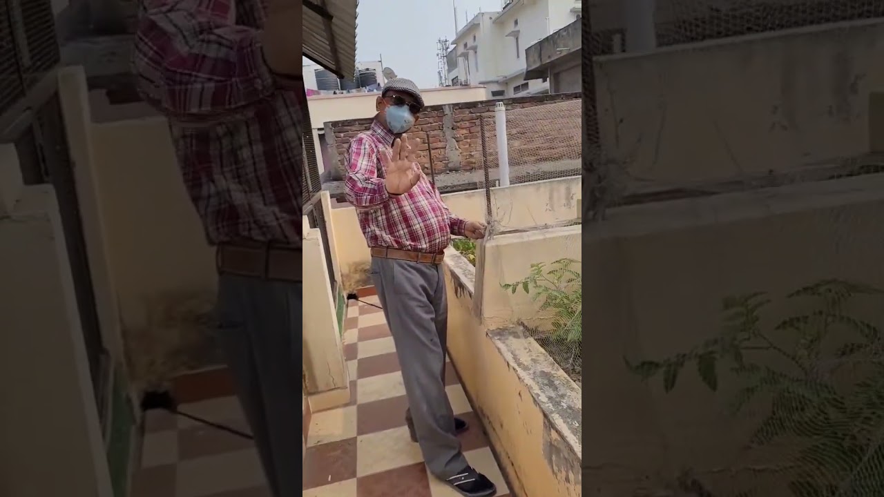 DIY garden trick for protection of plants from monkey | Fixing net to save  tomato plants 