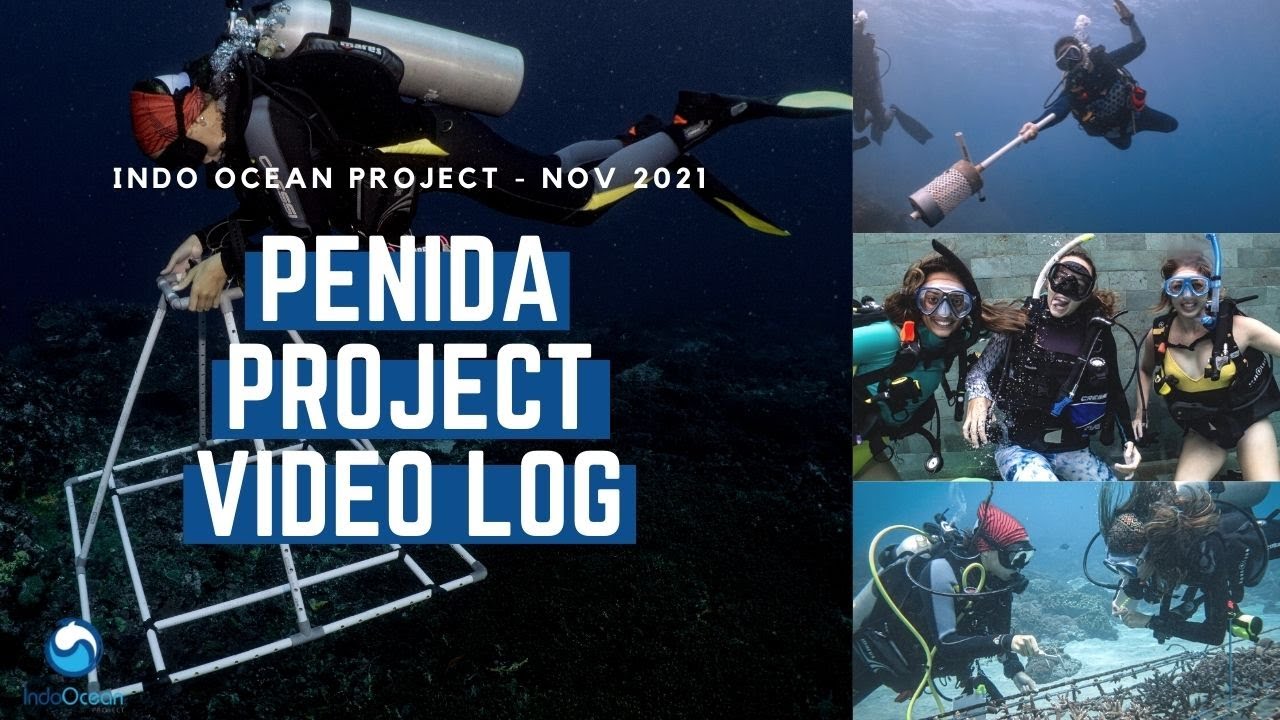 Indo Ocean Project - Penida Project Video Log - November, 2021