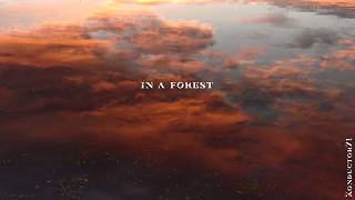 in a forest - Ambient Music