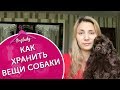 Как организовать хранение вещей собаки. Средства для ухода за собакой