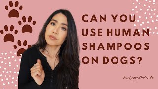 Can you use human shampoos on dogs