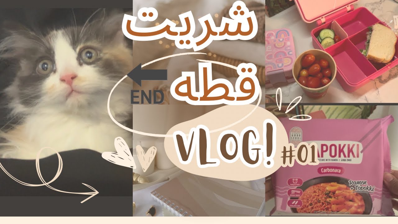 فلوقات متنوعة من يومياتي وقطتي الجديدة حياكم💖🐱🥹