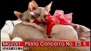 MOZART - PIANO CONCERTO NO. 23, II️Lullabies for Babies-Classical Music for Babies & Toddler