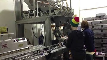 Actionpac  ME1095CSDX4 | Semi Automatic Linear Netweigh System | Packaging Cat & Dog Treats