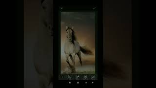 PicsArt horse race photo editing || PicsArt photo editing || trending photo editing || #shorts screenshot 4