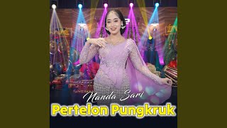Download Lagu Pertelon Pungkruk Download Lagu Pertelon Pungkruk