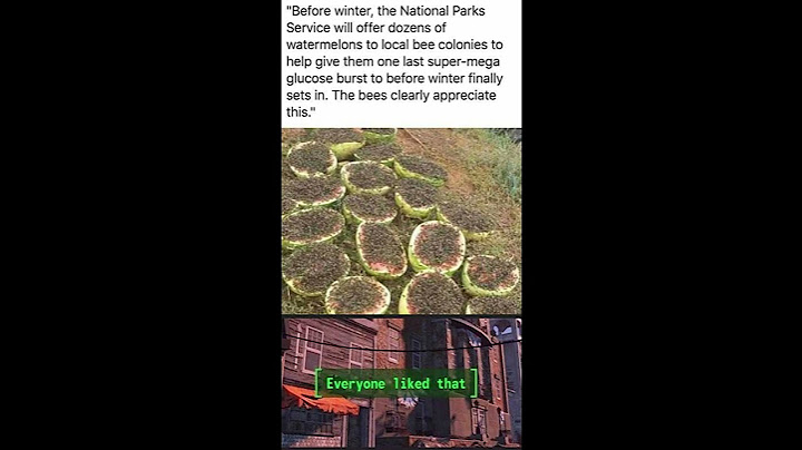 Bee Fuel National Parks Edition