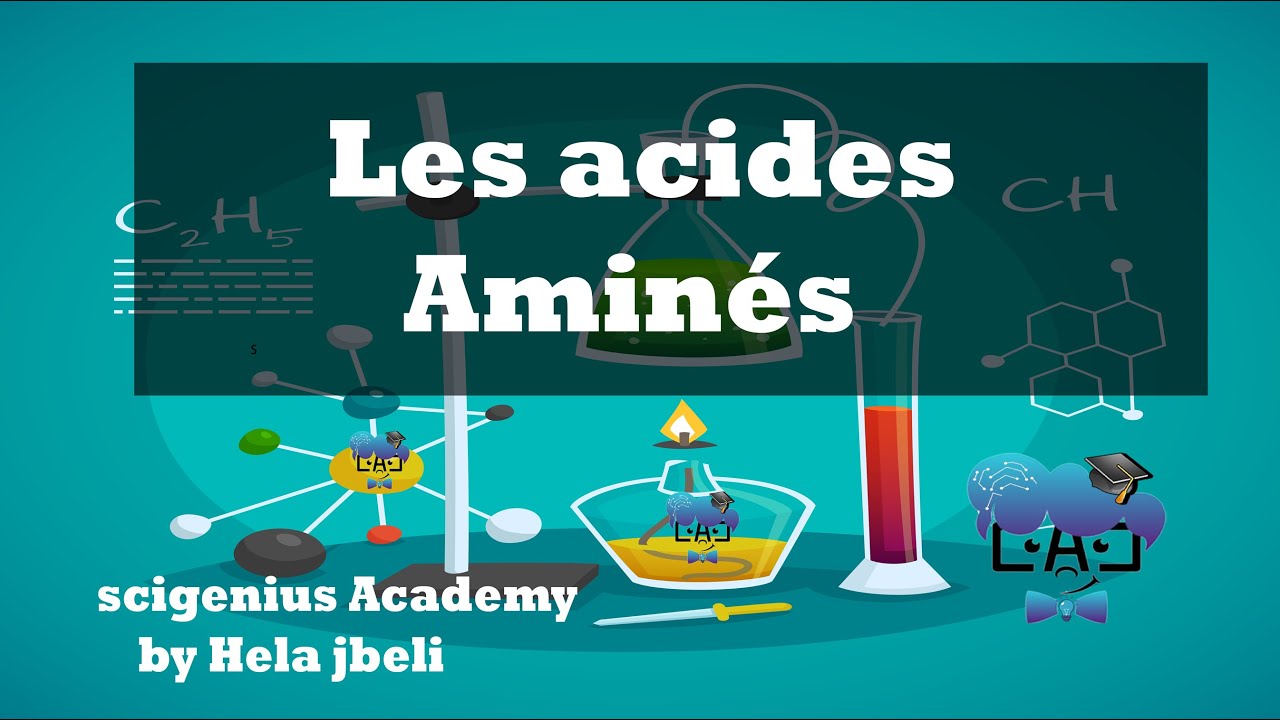Les acides aminés :cours + exercice : 3ème