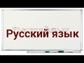 Русский язык, 6 класс. Местоимение, 1 часть