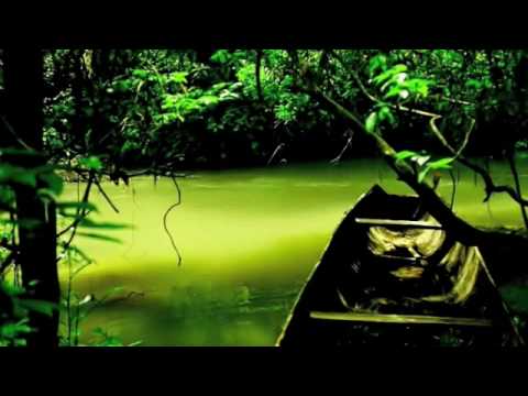 playboy_in da jungle (mod wheel safari mix) - tag records_1996