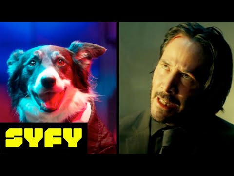 Some Very Good Dogs Reenact Key Moments from John Wick for SYFY's Weekend of Wick (Woof!)