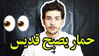 حمار يصبح قديس #قصص