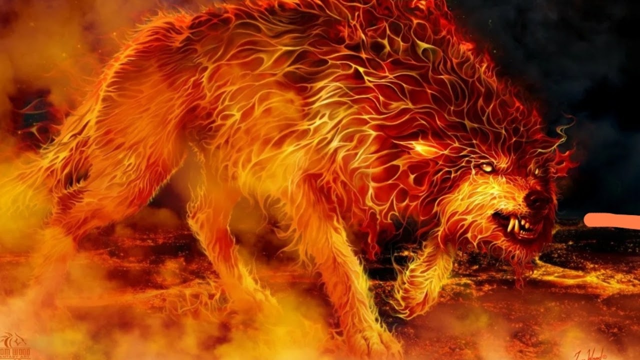 fire word стрим