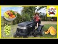 Collecting fruits in a tractor for a tutti frutti in the countryside of Chile