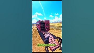 How farmers release the flock! 🐑🚛