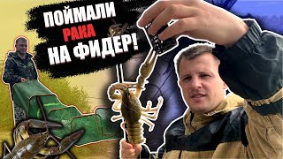 ПОЙМАЛИ РАКА НА ФИДЕР. Рыбалка на Дону ранней осенью #рыбалка#жерлицы#фидер