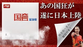 【中国NT使用】国狂ブルーってなに！？【時吉佑一さん解説】