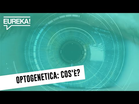 Una persona cieca può tornare a vedere? Parliamo di Optogenetica #InPochiMinuti