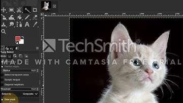 Fuzzy Select Tool Gimp Tutorial