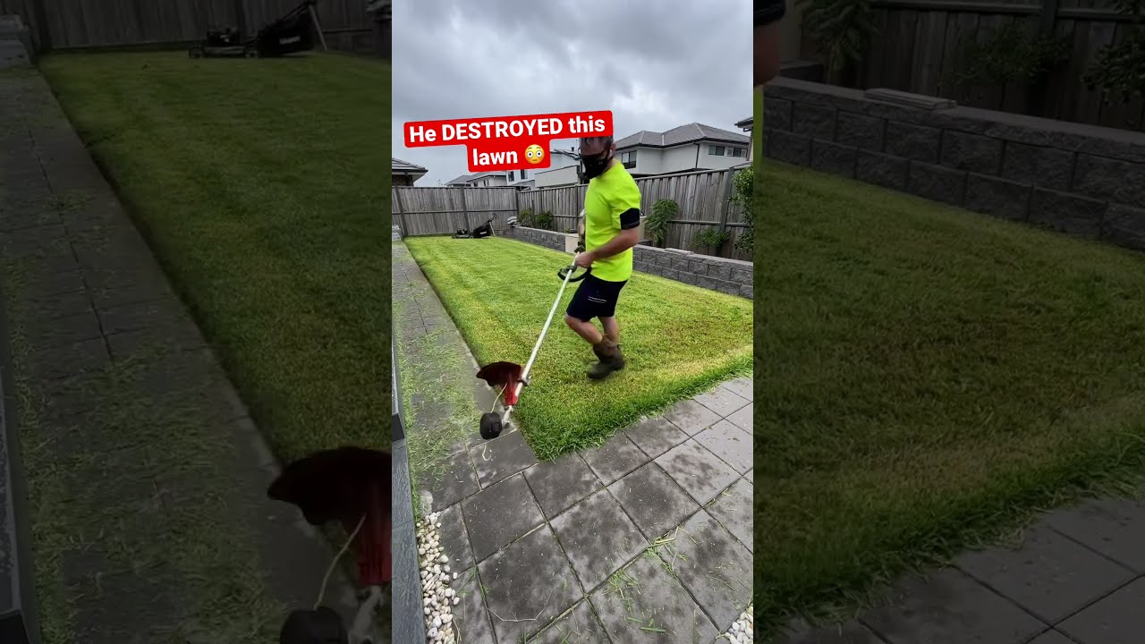 Why Did He Kill This Grass 