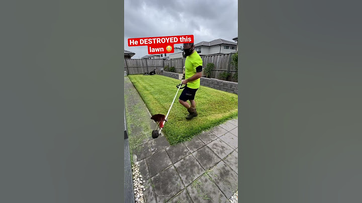 Why did he kill this grass!?