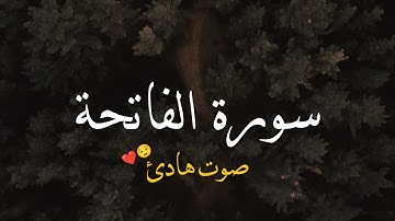 سورة الفاتحة ❤️ بصوت هادئ وجميل 😌🎧 حالات واتس اب قران كريم / مقاطع قران قصيرة / خواطر قرانية 🌿
