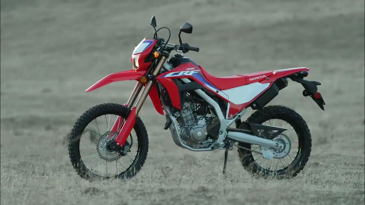 CRF300L VS DRZ400 VS CRF450L Which one is right for you YouTube