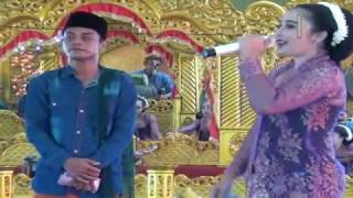 TAYUB DANGDUTAN BUNGA FAMILI