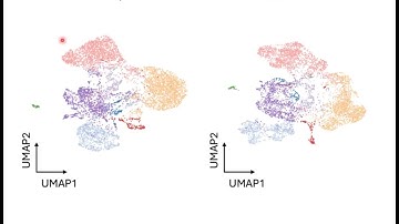 Language Models in Spatial Omics: Benchmarking Zero Shot Abilities of scGPT spatial and Nicheformer