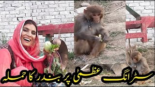 Monkey Attacked Me During The Video Strong Uzma