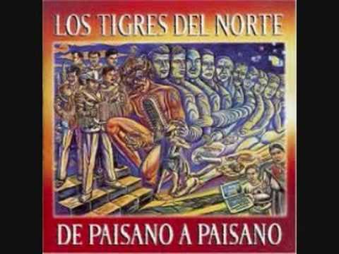 Vidéo: Amende Pour Los Tigres Del Norte