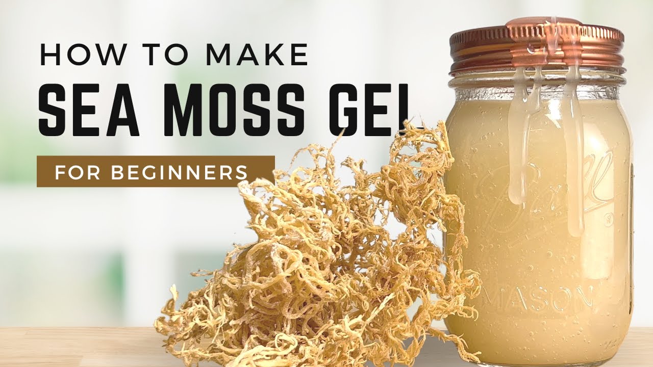 How to Make SEA MOSS GEL  DRINK THIS EVERYDAY for Health, Skin, & Hair. 