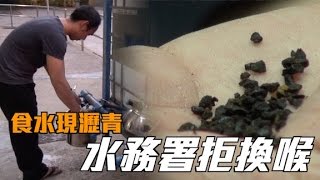 雲疊花園食水驚現瀝青　水署拒換喉管捱批