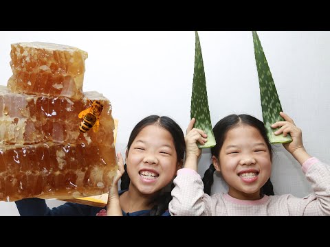 Mukbang Aloe Honeycomb  lidah buaya Aloès หางจระเข้ アロエ  Lô hội 알로에 벌집꿀 TwinRoozi 쌍둥이루지