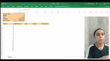 Mathematics of Investment ( Sinking fund schedule using Microsoft excel)