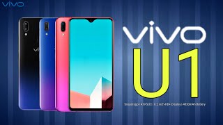Vivo U1 Price, Official Look, Introduction, Specifications, Camera, Features and Sales Details