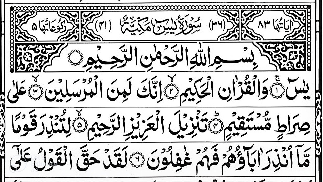 Surah Yaseen Surah Ar Rahman | Best Quran Recitation | Surah Yasin Tilawat | Episode_002