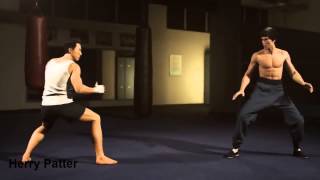 Donnie Yen vs Bruce Lee Herry Petter  بروس لي  دوني ين