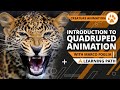 Intro to quadruped animation masterclass