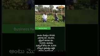 business news #shortsfeed #channelpages #telugunews #viralvideo #telugushorts #farming