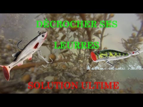 Soigner ses leurres - Peche et Poissons