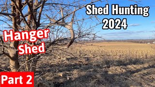 Shed Hunting 2024 - Hanger Shed Found