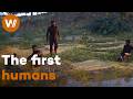 How did Humankind Emerge? On the Trail of the First Human at Kromdraai in Africa (Full Documentary) Mp3 Song