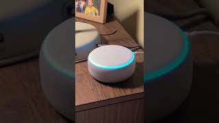 Alexa please