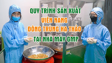 Quy Trình Sản Xuất Viên Nang Đông Trùng Hạ Thảo Tại Nhà Máy Đạt Chuẩn GMP