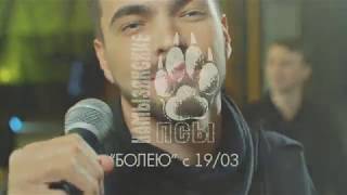 Камызякские псы - Болею (Анонс клипа) Камызякские псы - Болею (Анонс клипа)