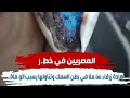 المصريين في خطر مادة زرقاء سامه في بطن السمك و تناولها يسبب الوفاة و الصيادين السبب 